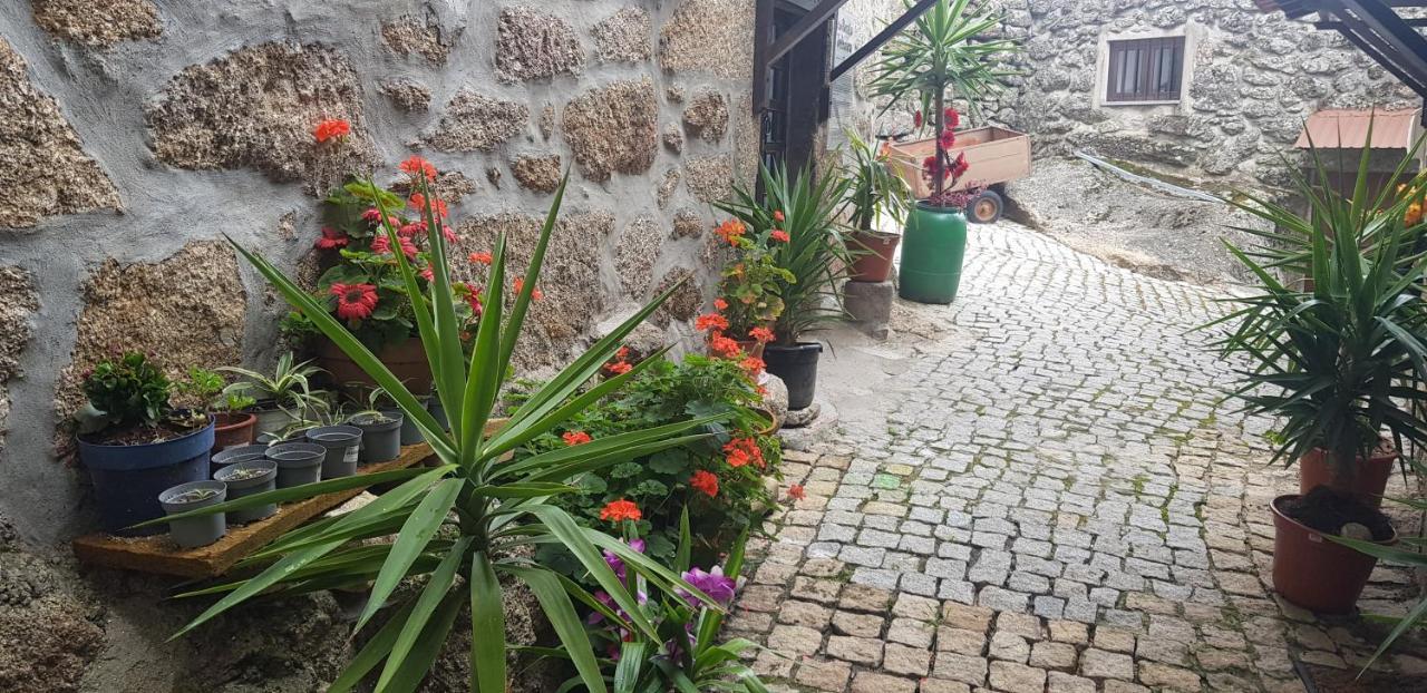 فيلا Branca Goncalves Belmonte بلمونت المظهر الخارجي الصورة